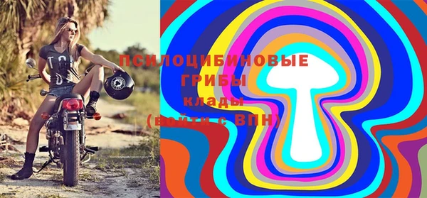тгк Няндома