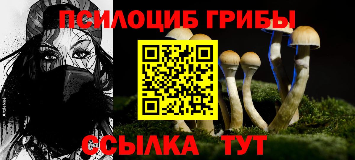 Чусовой  Псилоцибиновые грибы Psilocybine cubensis  Галлюциногенные грибы ЛСД  Вход с VPN 